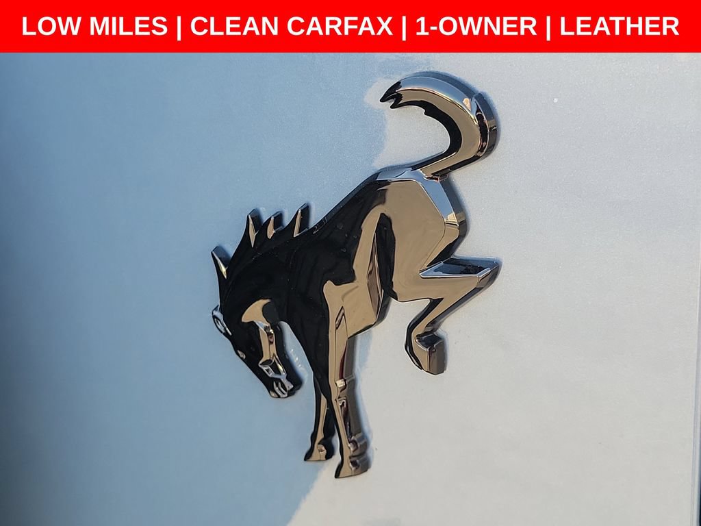 Used 2024 Ford Bronco Wildtrak AWD/4WD image 10