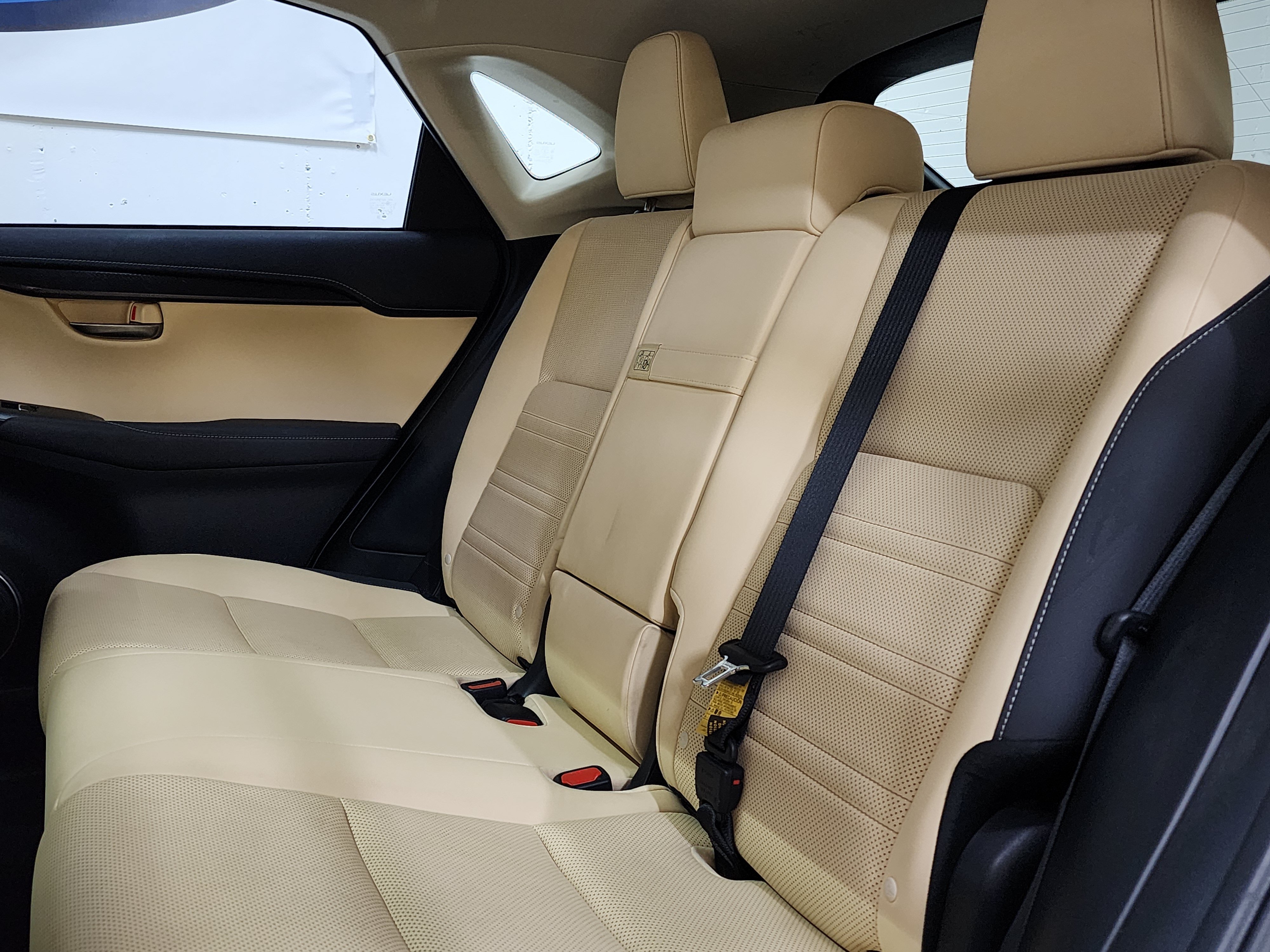 Used 2019 Lexus NX 300h AWD w/ Premium Package image 19