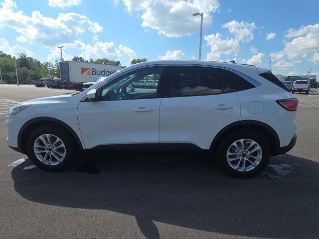 Used 2020 Ford Escape SE AWD/4WD image 14