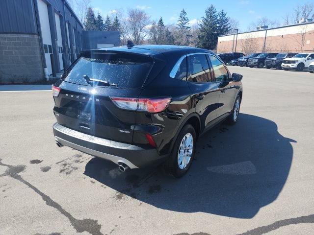 Used 2022 Ford Escape SE w/ Convenience Package image 5