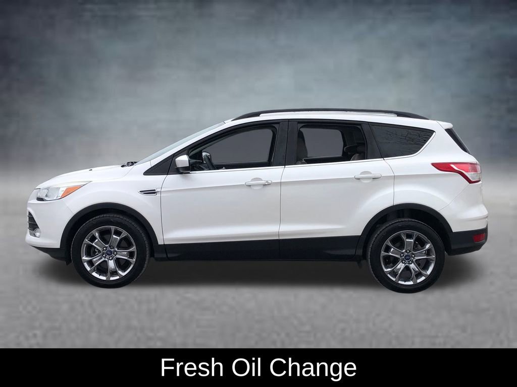 Used 2014 Ford Escape SE w/ Equipment Group 201A image 3