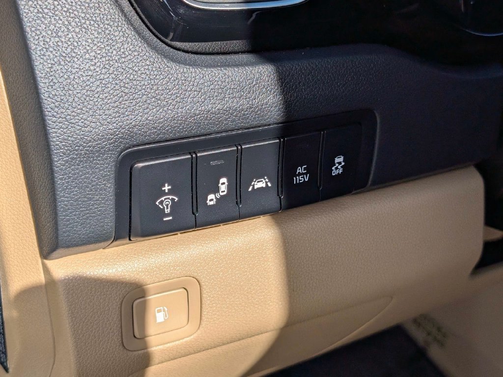 Used 2018 Kia Sedona SX Limited FWD image 16