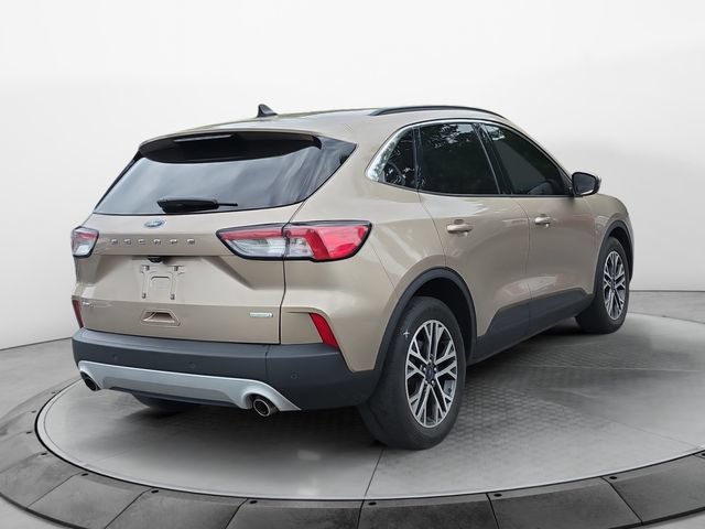 Used 2020 Ford Escape SEL FWD image 5