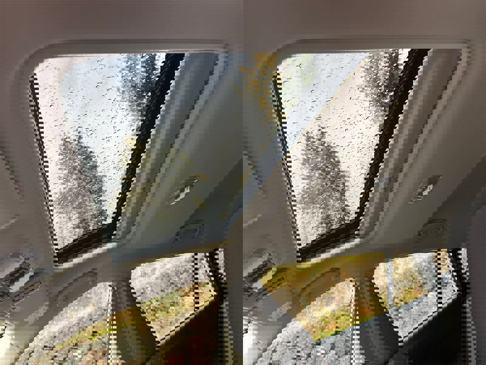 New 2026 Subaru Impreza 2.0i Sport image 14