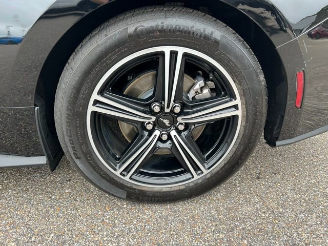 Certified 2025 Ford Mustang EcoBoost image 11