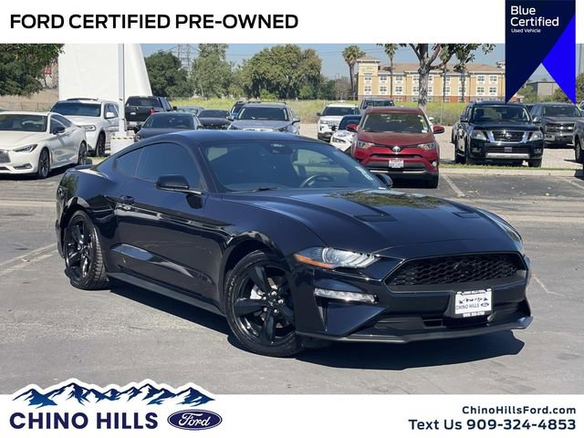 Used 2021 Ford Mustang EcoBoost w/ Equipment Group 101A