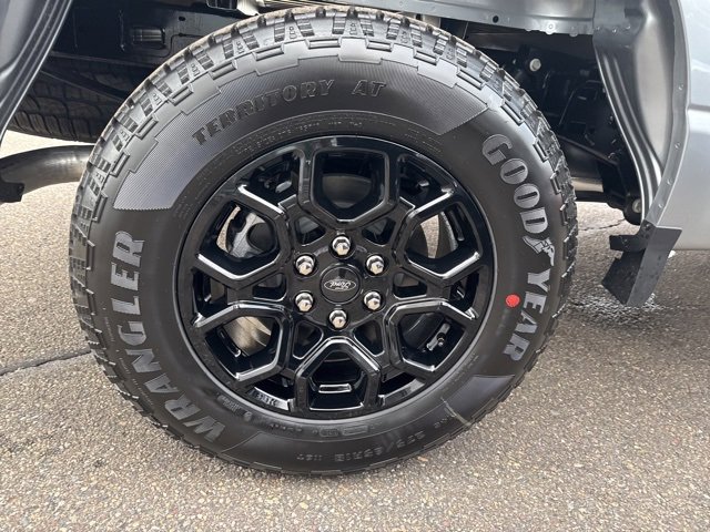 New 2025 Ford F150 STX image 11