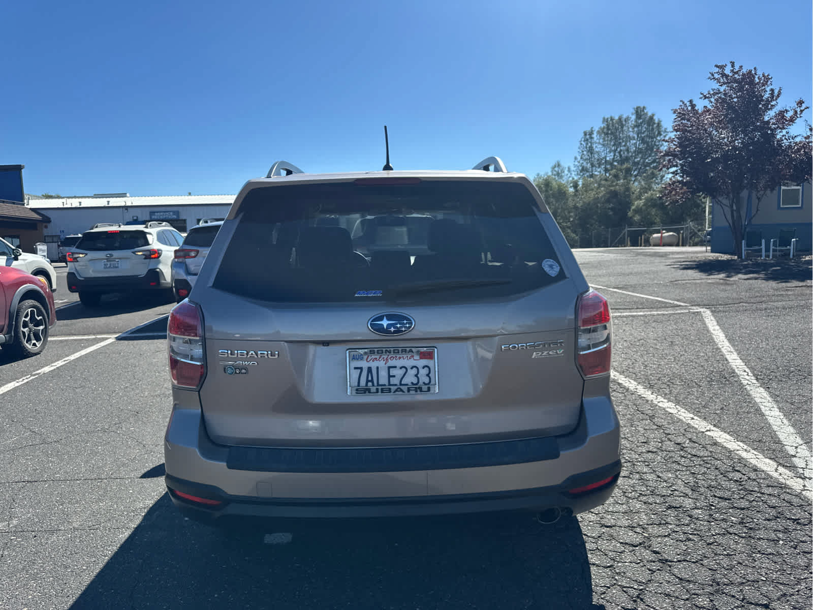 Used 2014 Subaru Forester 2.5i Limited w/ Popular Package #2 AWD/4WD image 6