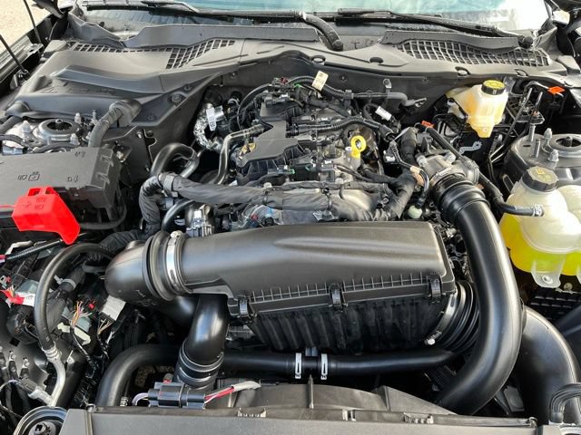 New 2026 Ford Mustang Coupe w/ Bronze Appearance Package RWD image 19