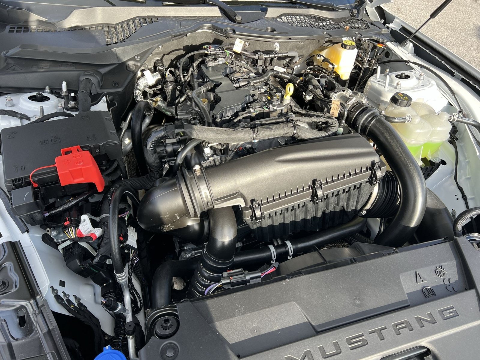 New 2026 Ford Mustang Coupe RWD image 25