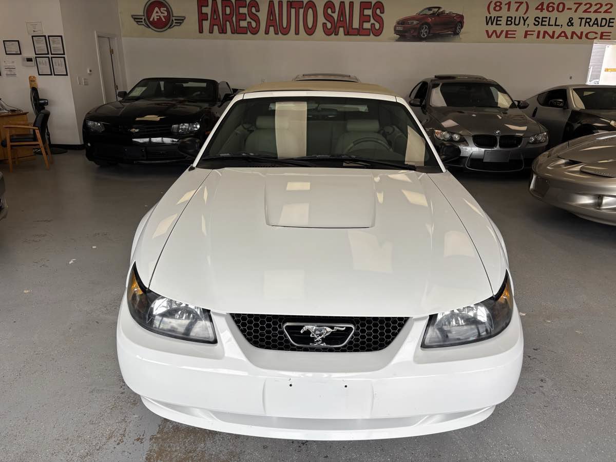Used 2003 Ford Mustang Convertible RWD image 1