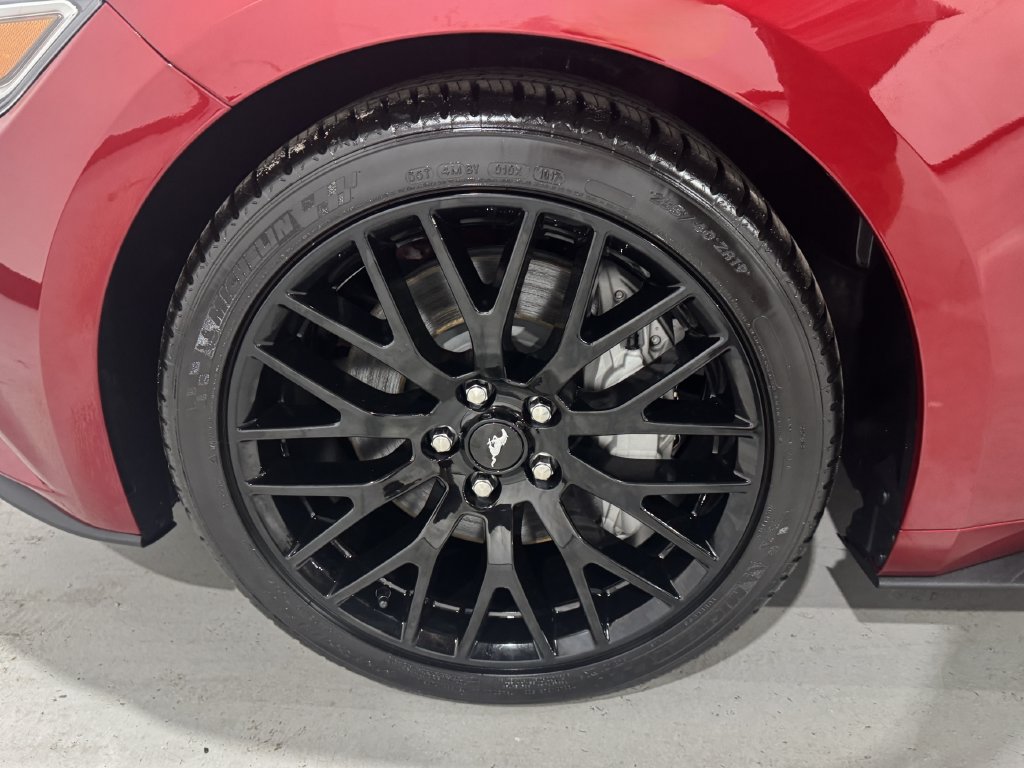 Used 2015 Ford Mustang GT Premium RWD image 9