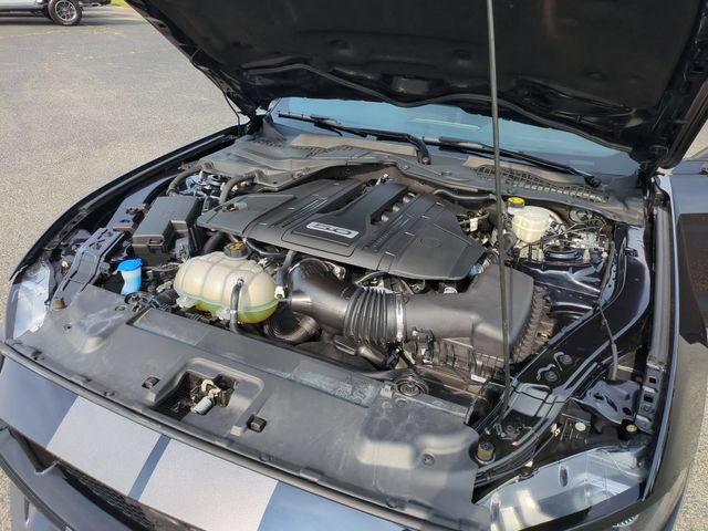 Used 2021 Ford Mustang GT w/ Equipment Group 301A RWD image 34