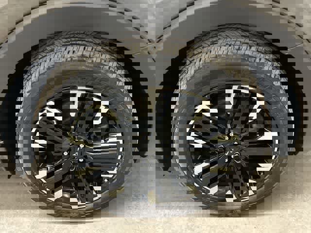 Used 2023 Kia Telluride SX Prestige image 4