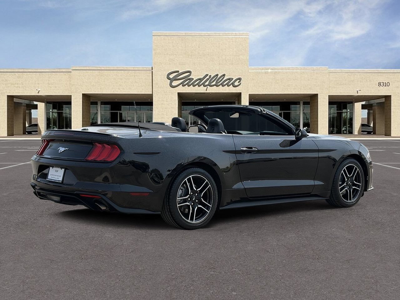 Used 2021 Ford Mustang Premium RWD image 5