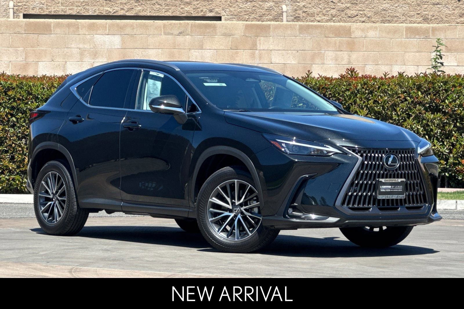 Certified 2025 Lexus NX 350h AWD w/ Cold Area Package image 2