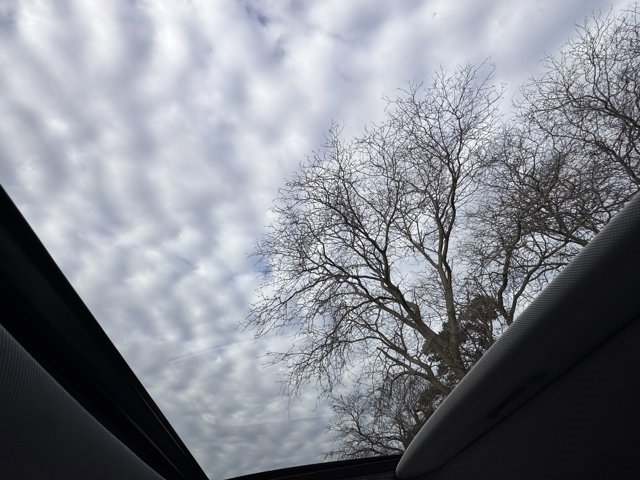 Used 2020 Hyundai Palisade SEL w/ Convenience Package image 42