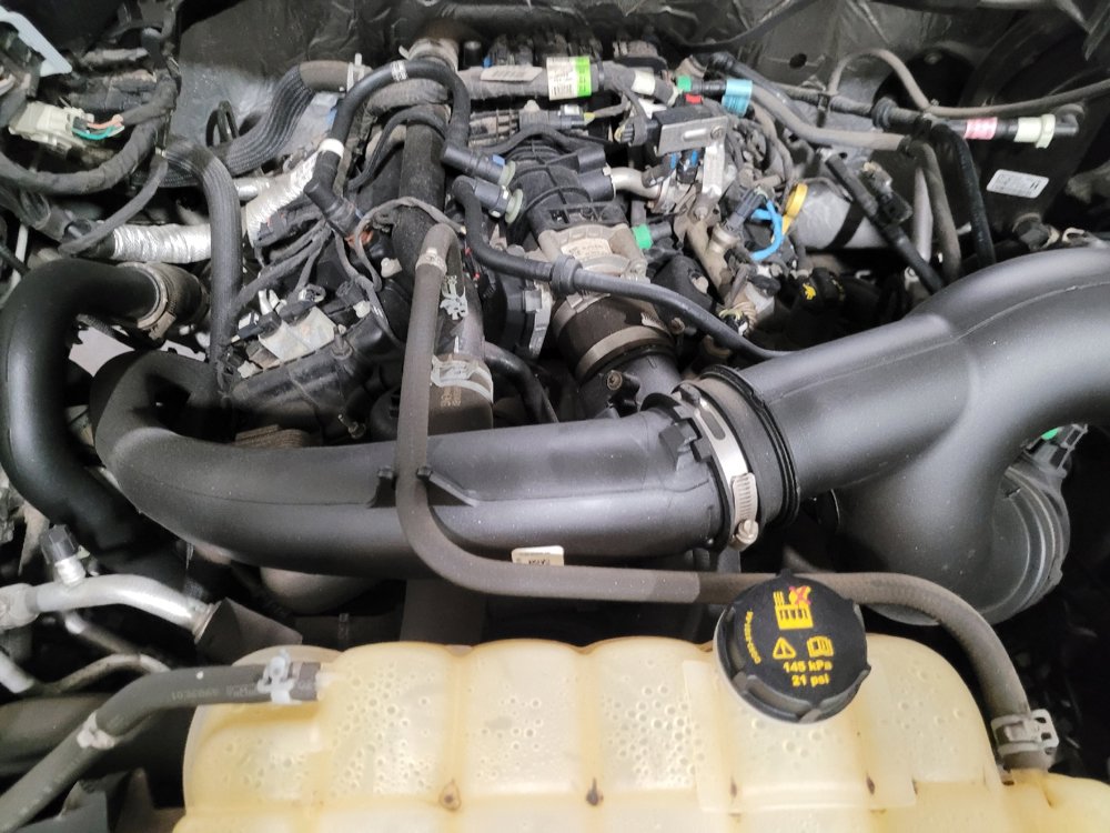 Used 2019 Ford F150 XL w/ Equipment Group 101A Mid image 30