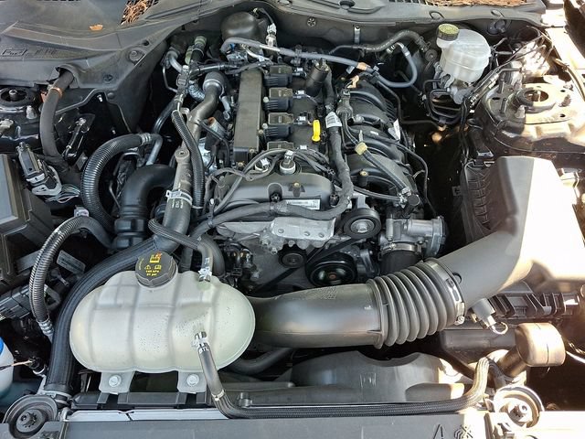 Certified 2021 Ford Mustang Premium w/ Equipment Group 201A RWD image 30