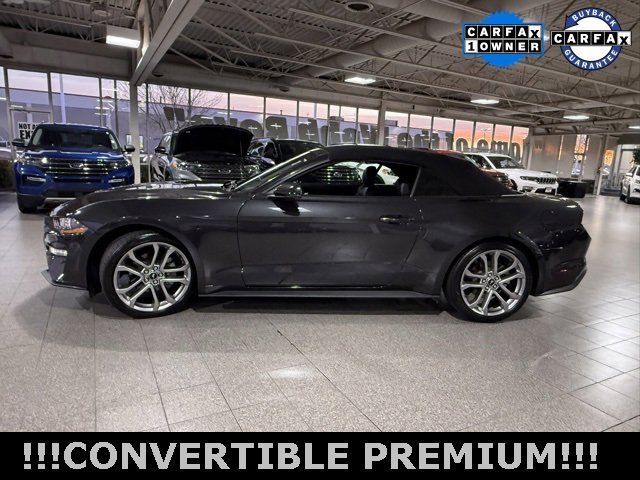 Used 2022 Ford Mustang Premium w/ Equipment Group 201A image 5