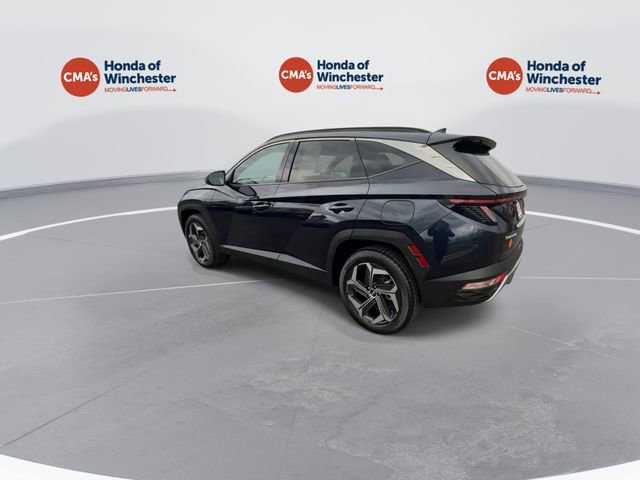 Used 2023 Hyundai Tucson Limited image 7