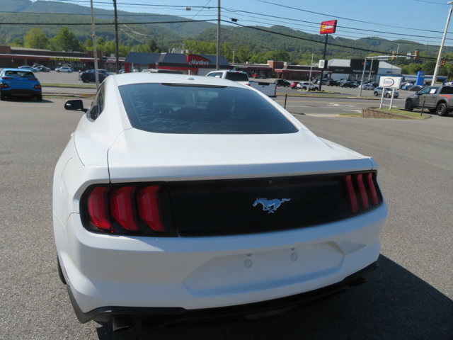 Used 2019 Ford Mustang Coupe image 4