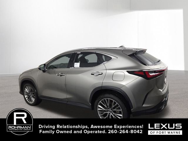 Used 2025 Lexus NX 350h AWD w/ Premium Package image 11
