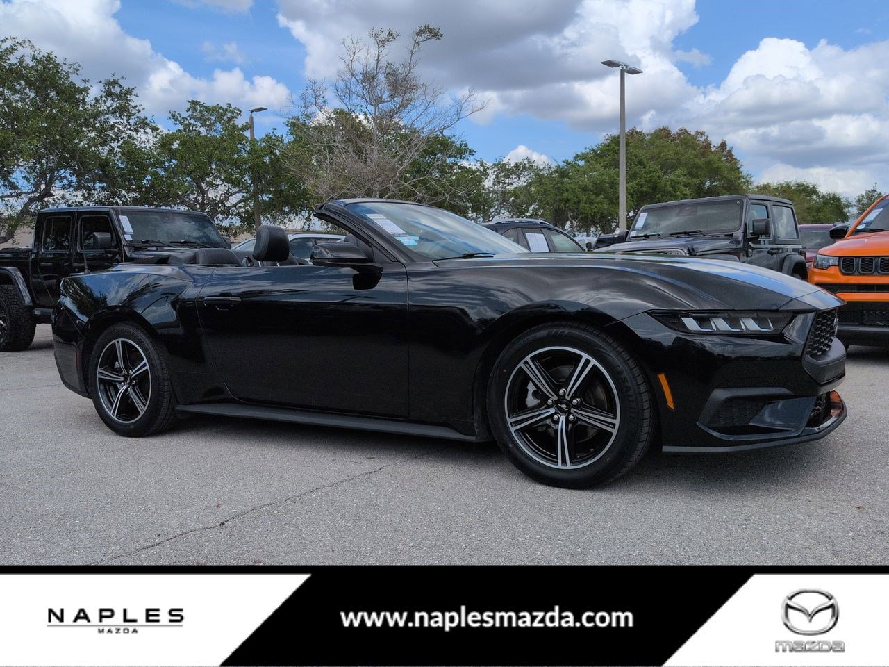 Used 2024 Ford Mustang Premium