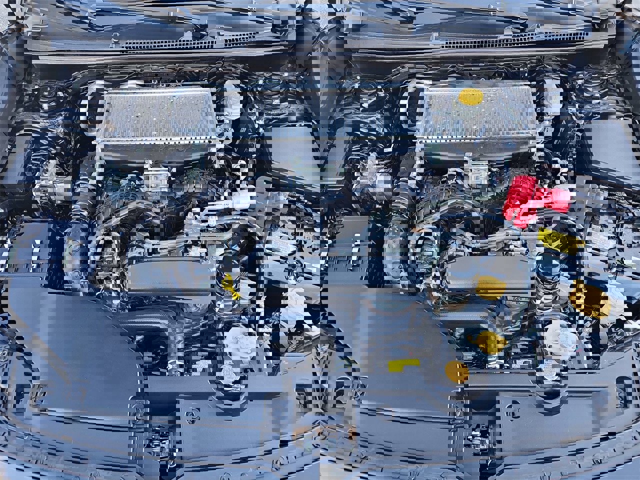 Used 2024 Subaru WRX image 30