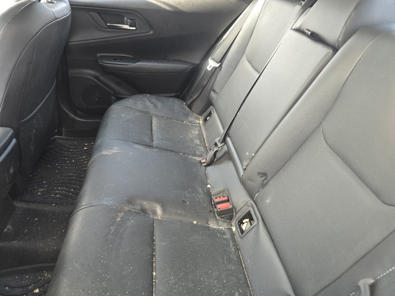 Used 2026 Toyota Prius AWD image 22