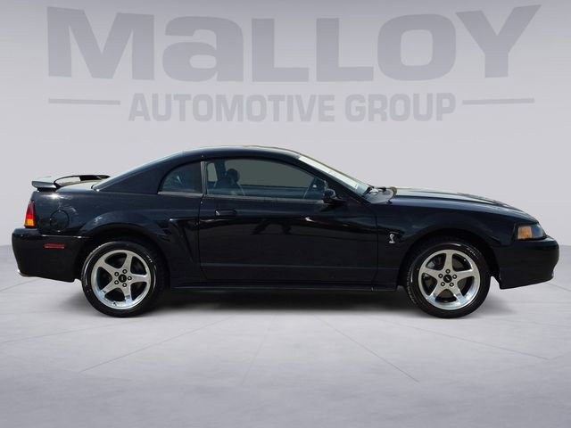 Used 2001 Ford Mustang Cobra RWD image 6