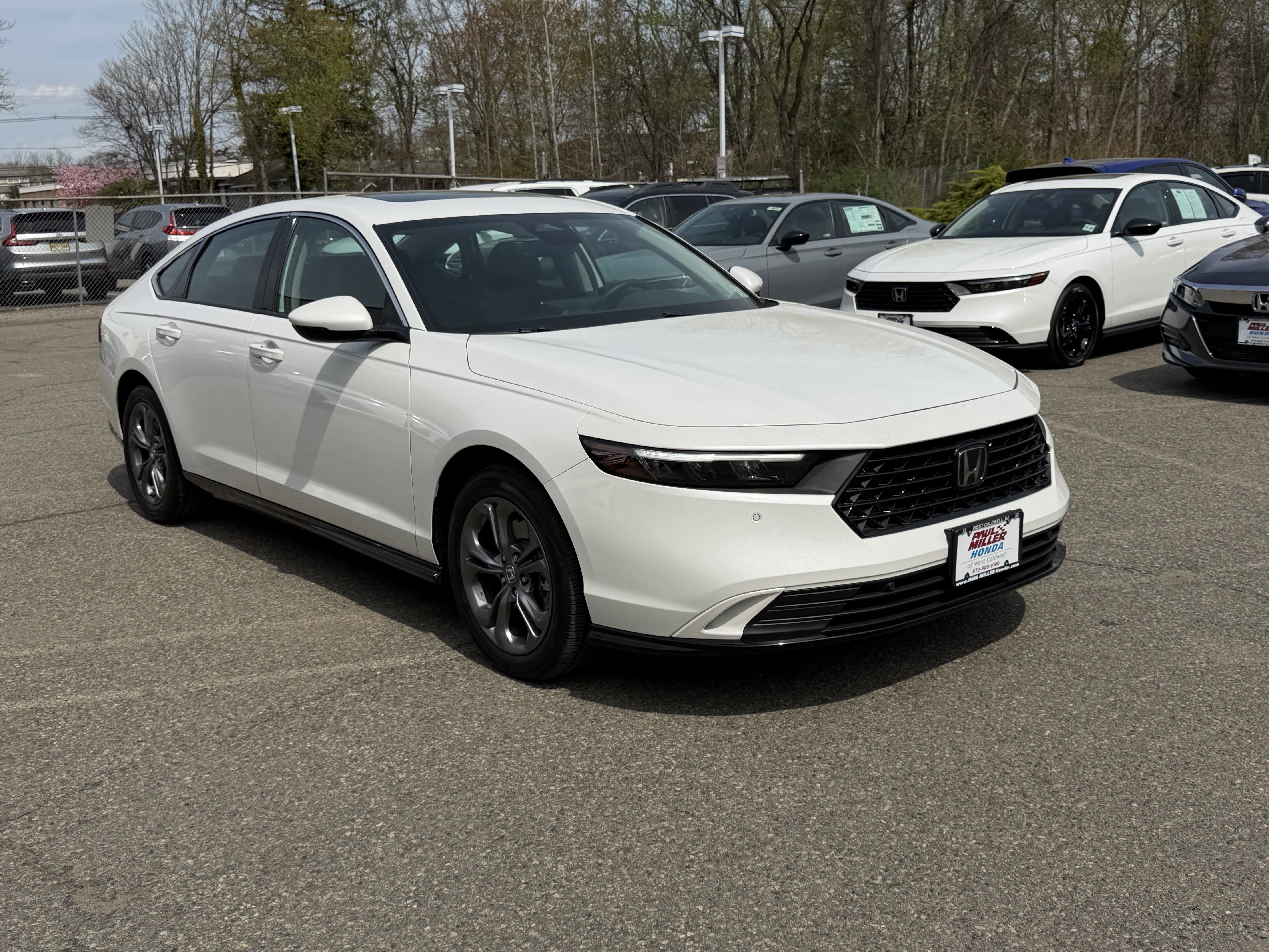Used 2023 Honda Accord EX-L image 3