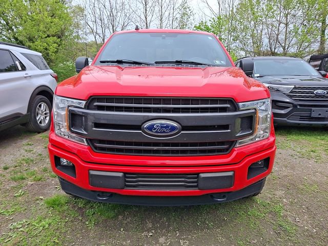 Used 2019 Ford F150 XLT w/ Equipment Group 302A Luxury AWD/4WD image 2