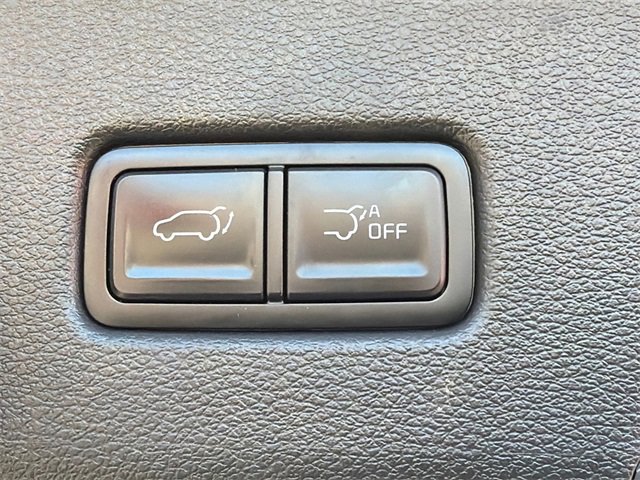 Used 2023 Kia Telluride SX Prestige X-Line image 19