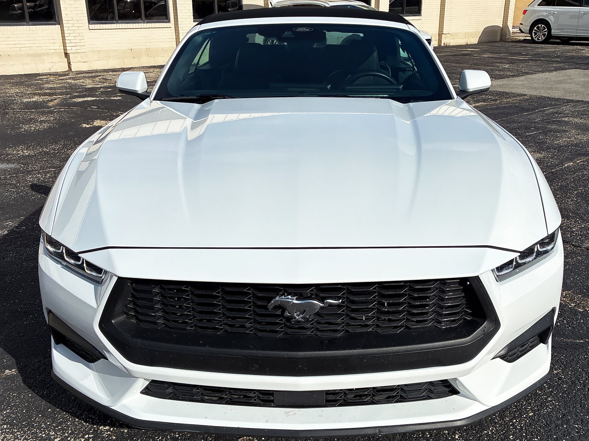 Used 2024 Ford Mustang Convertible RWD image 6