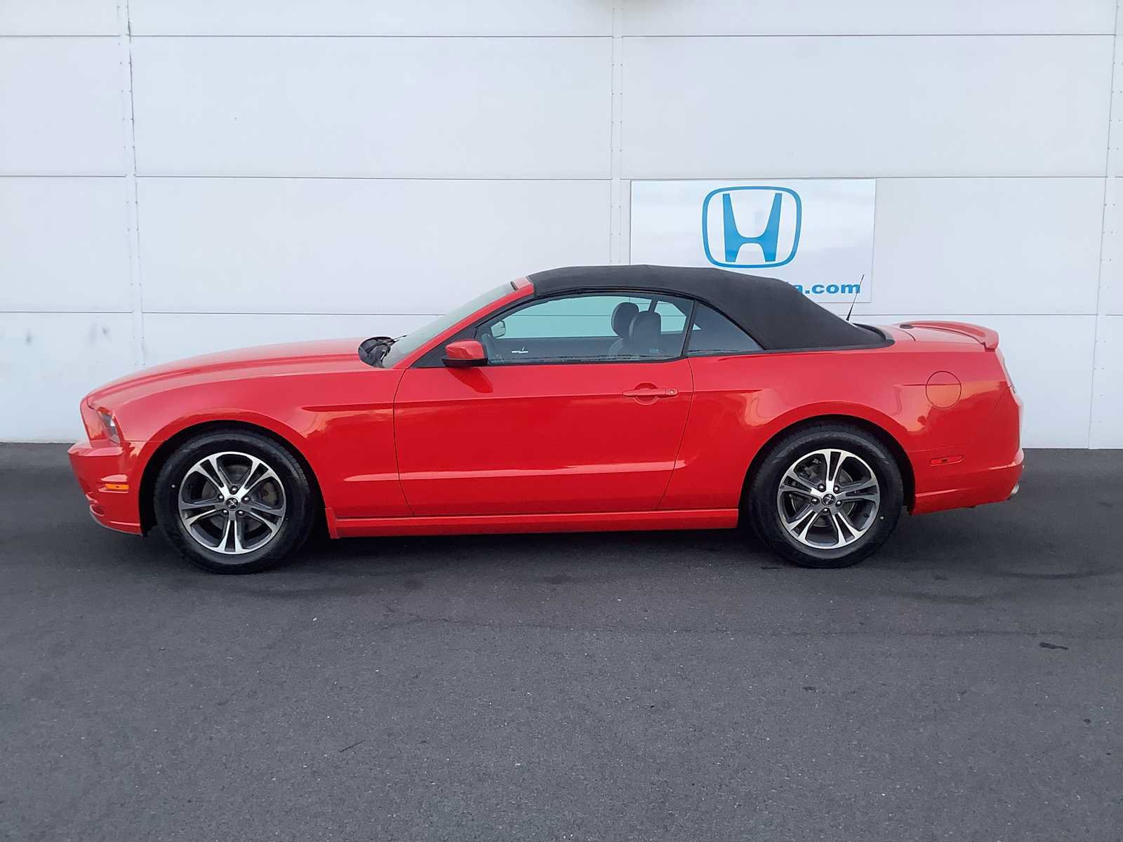 Used 2014 Ford Mustang Premium w/ Equipment Group 201A RWD image 2