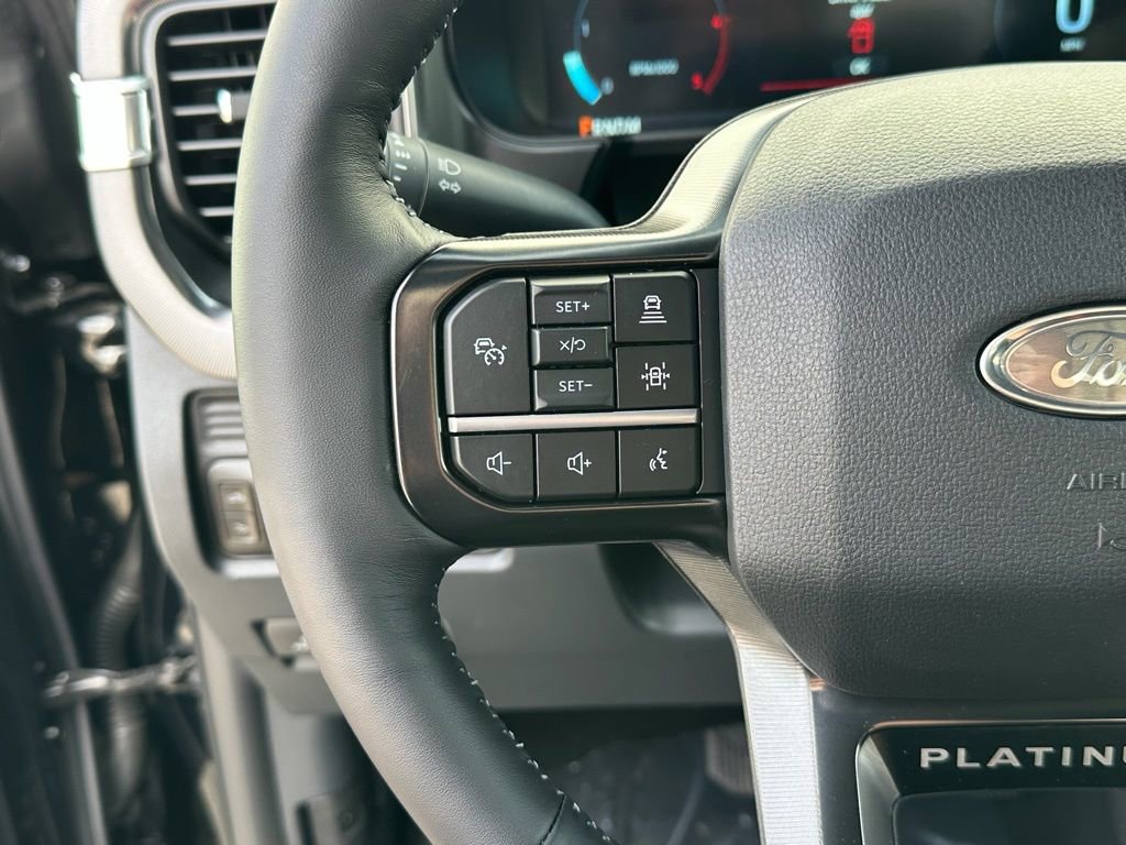 New 2026 Ford F250 Platinum image 10