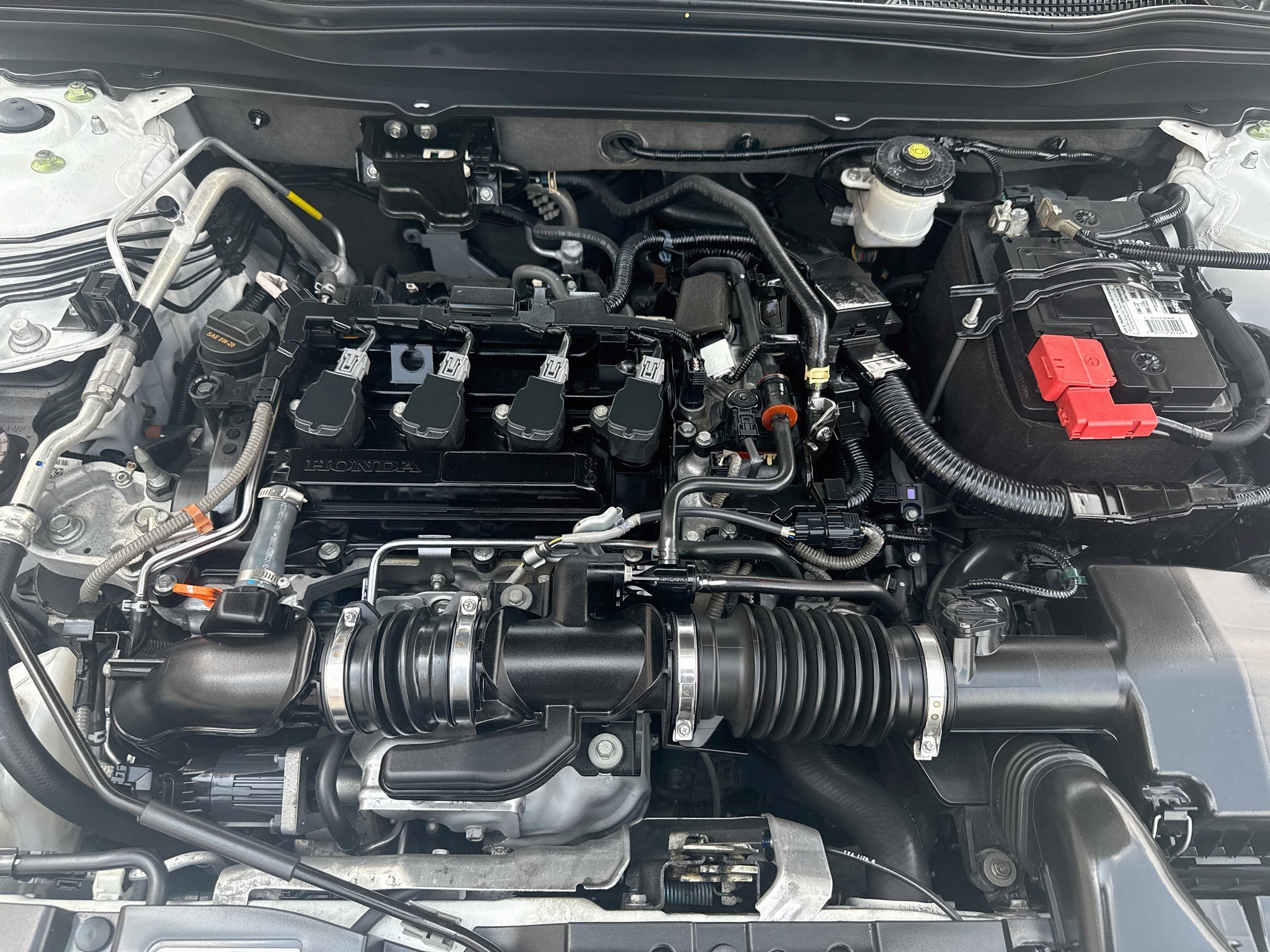 Used 2021 Honda Accord Sport Special Edition image 32
