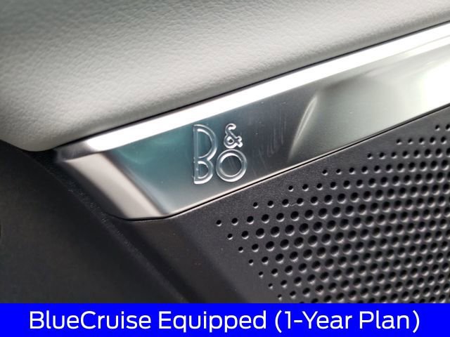 New 2025 Ford Expedition Max Platinum w/ Platinum Ultimate Package AWD/4WD image 19