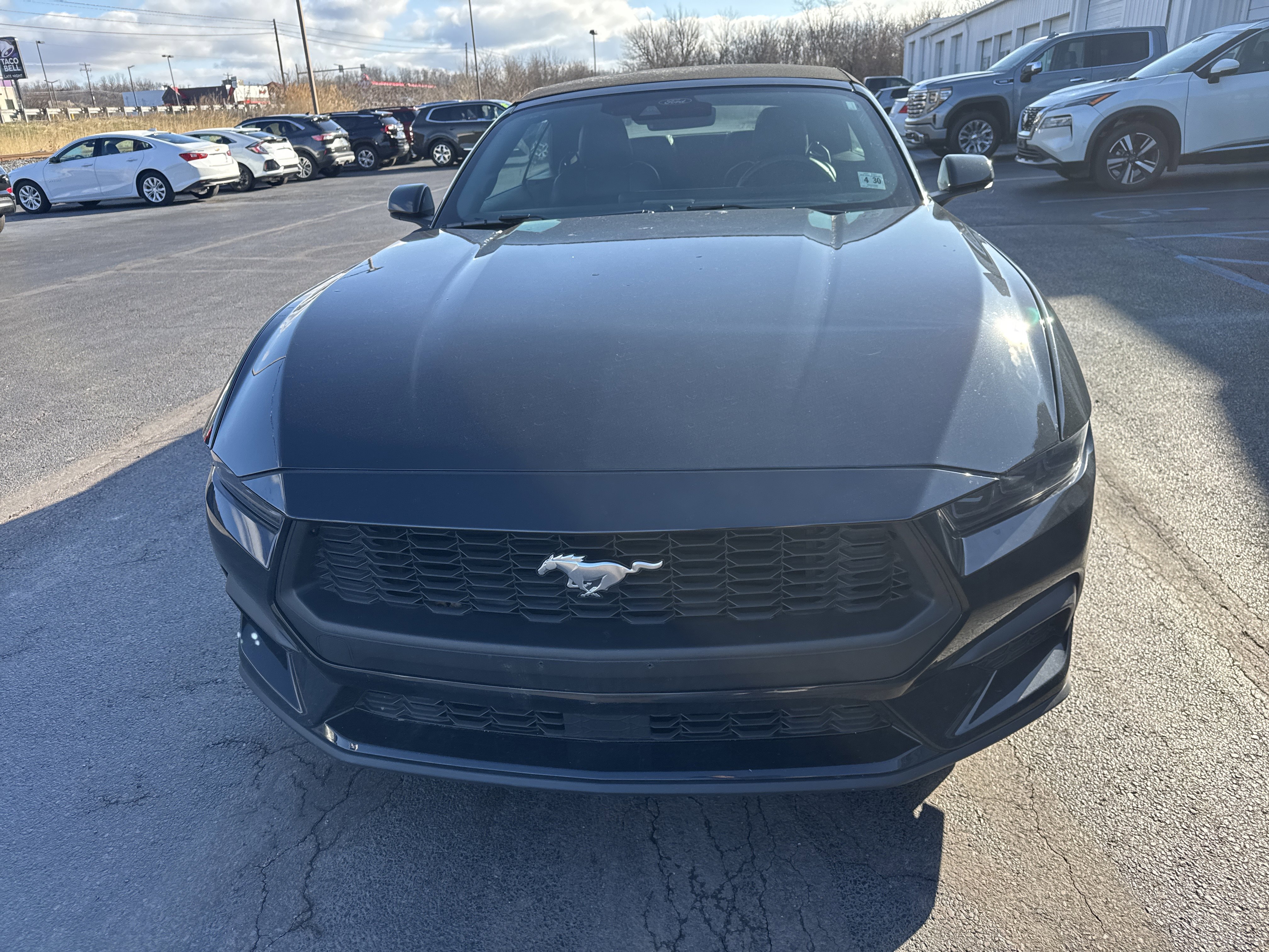 Used 2025 Ford Mustang Premium RWD image 9