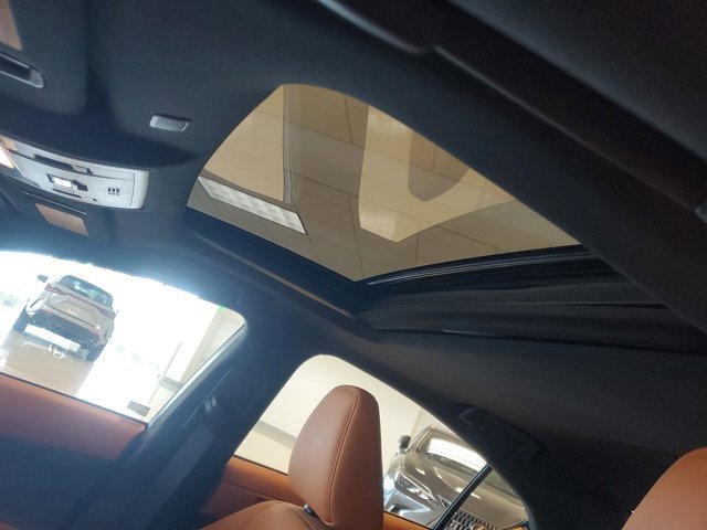 Used 2023 Lexus IS 300 w/ Comfort Package image 21