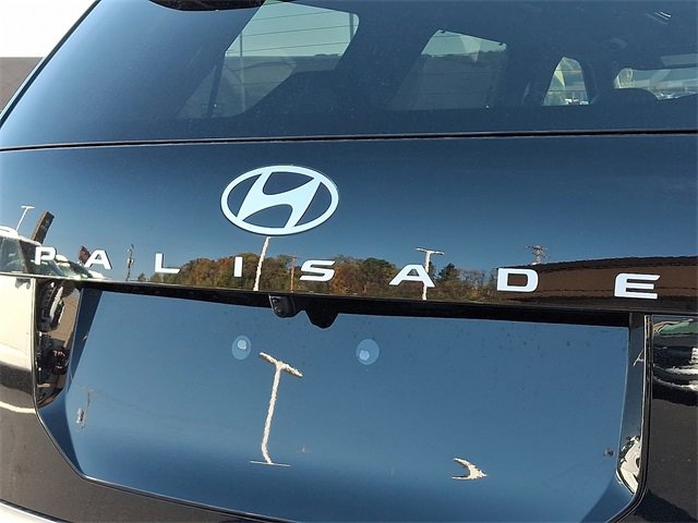 New 2026 Hyundai Palisade Calligraphy image 6