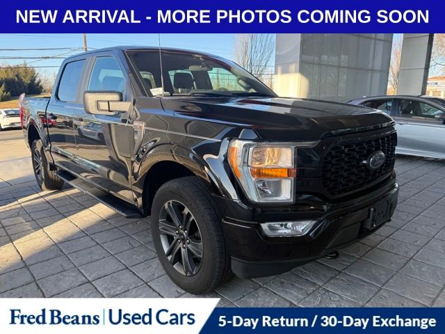 Used 2021 Ford F150 XL w/ STX Appearance Package image 1