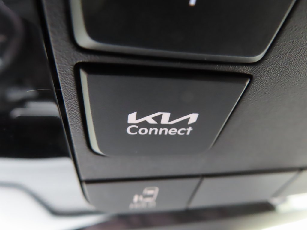 New 2026 Kia Carnival image 13