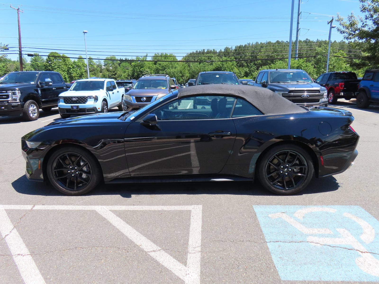 Used 2025 Ford Mustang GT Premium w/ Mustang Nite Pony Package RWD image 14