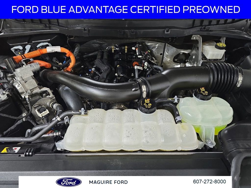 Certified 2024 Ford F150 King Ranch AWD/4WD image 17
