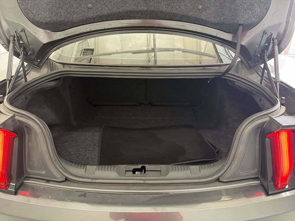 Used 2019 Ford Mustang GT Premium w/ Equipment Group 401A image 15