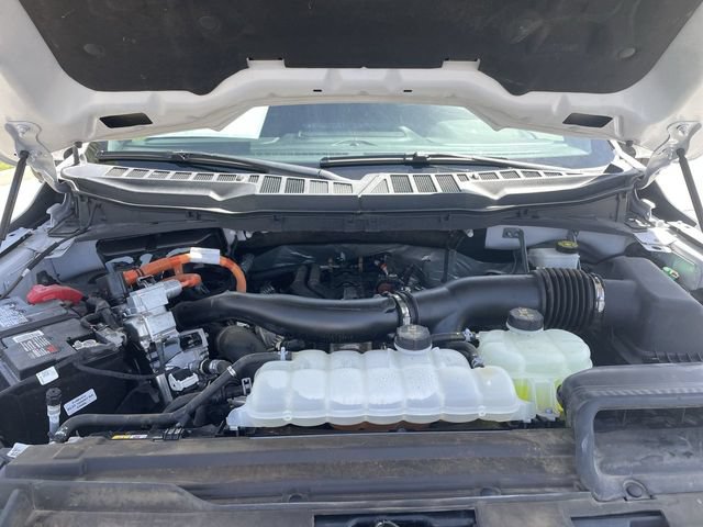 Used 2024 Ford F150 XLT w/ Equipment Group 302A MID AWD/4WD image 30