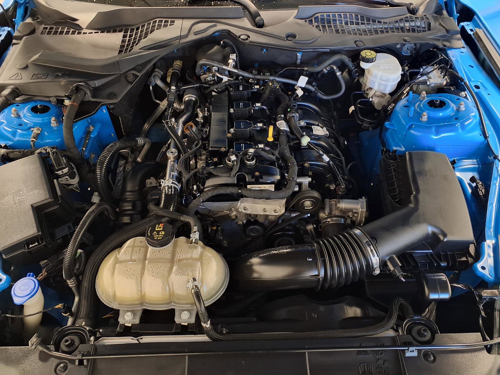 Used 2023 Ford Mustang Coupe w/ Equipment Group 101A image 29