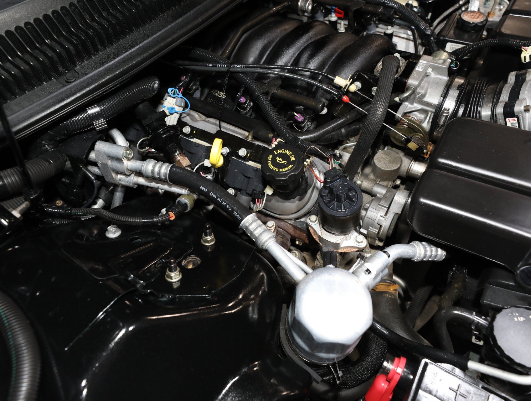 Used 1999 Pontiac Firebird Trans Am RWD image 81